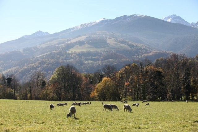 Vallée de Campan